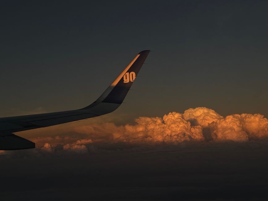 Airplane wing above clouds at sunrise
